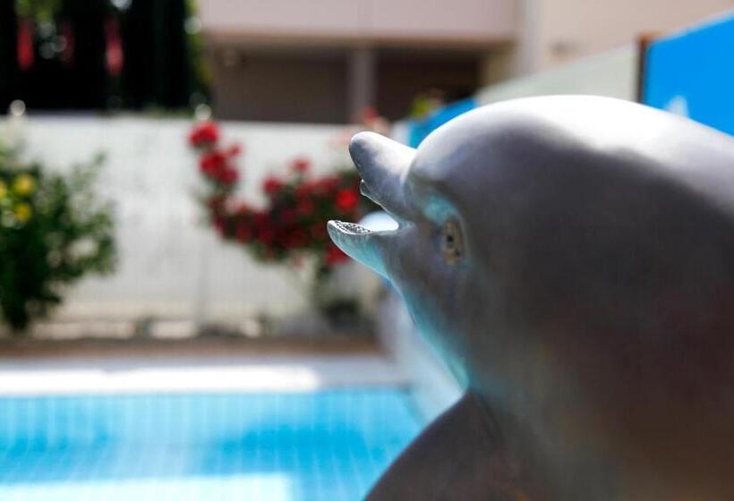 חדר סטנדרט, Miorelli