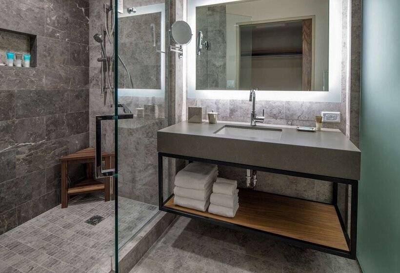 스탠다드 룸 더블 침대 공원 전망, Hyatt Regency Lake Washington At Seattle S Southport