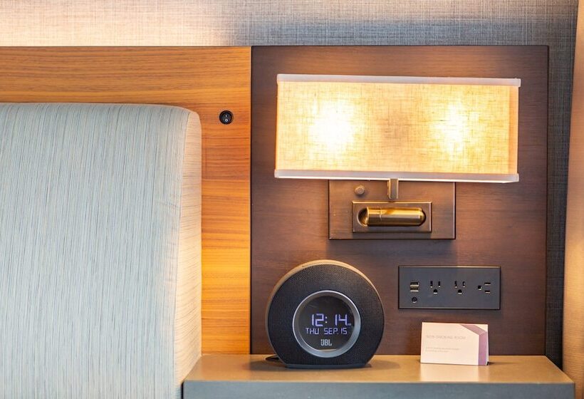 이그제큐티브 스위트, Hyatt Regency Lake Washington At Seattle S Southport