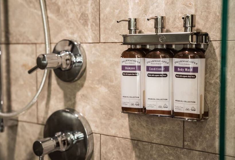 이그제큐티브 스위트, Hyatt Regency Lake Washington At Seattle S Southport