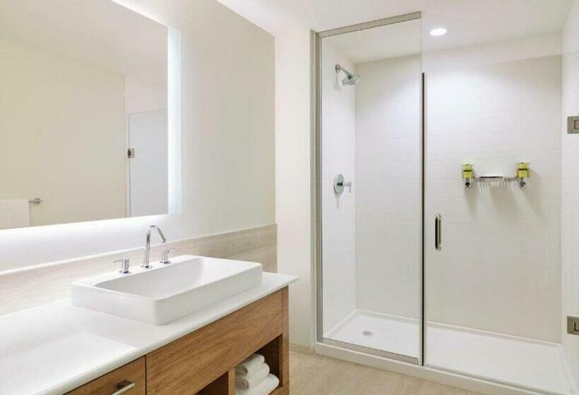 اتاق استاندارد با تخت بزرگ, Element West Des Moines