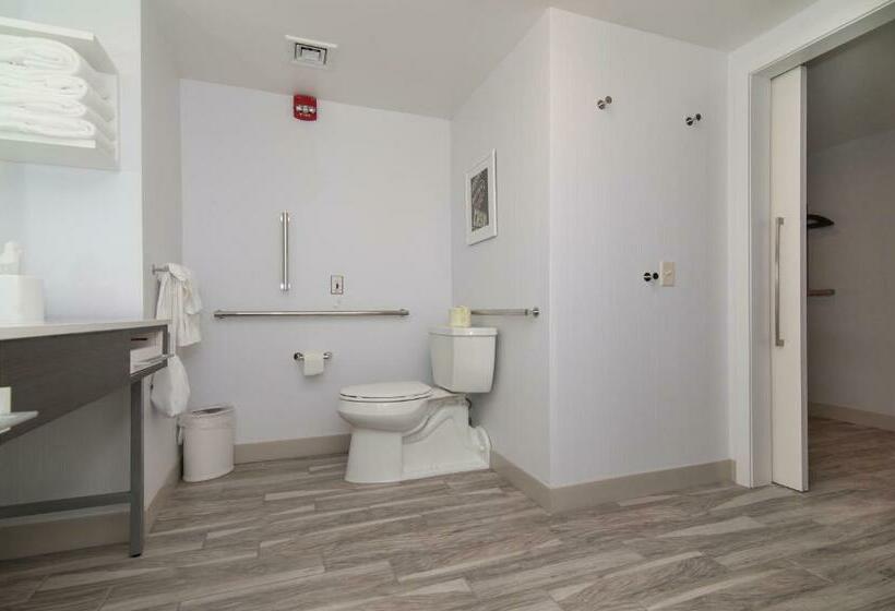장애인을 위한 킹사이즈 침대 스탠다드 룸, Hampton Inn Norwich