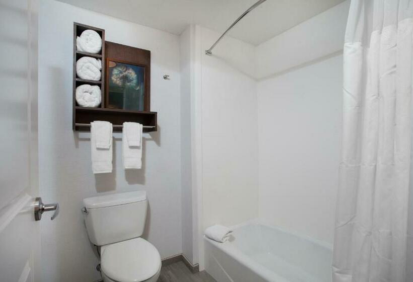 Deluxe Suite King Bed, Homewood Suites By Hilton Saratoga Springs