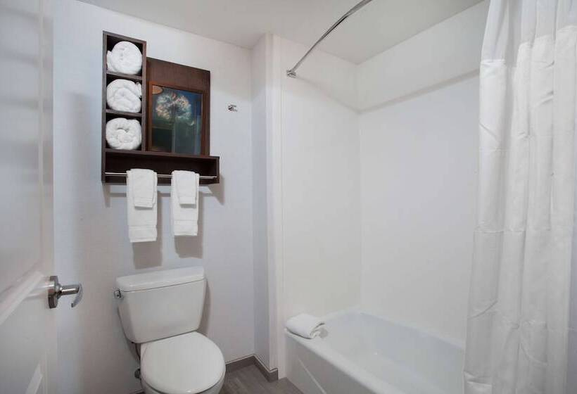 バルコニー付スイート, Homewood Suites By Hilton Saratoga Springs