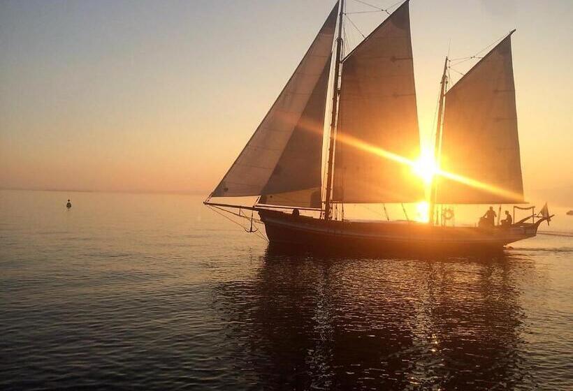 חדר סופריור, Orchidea