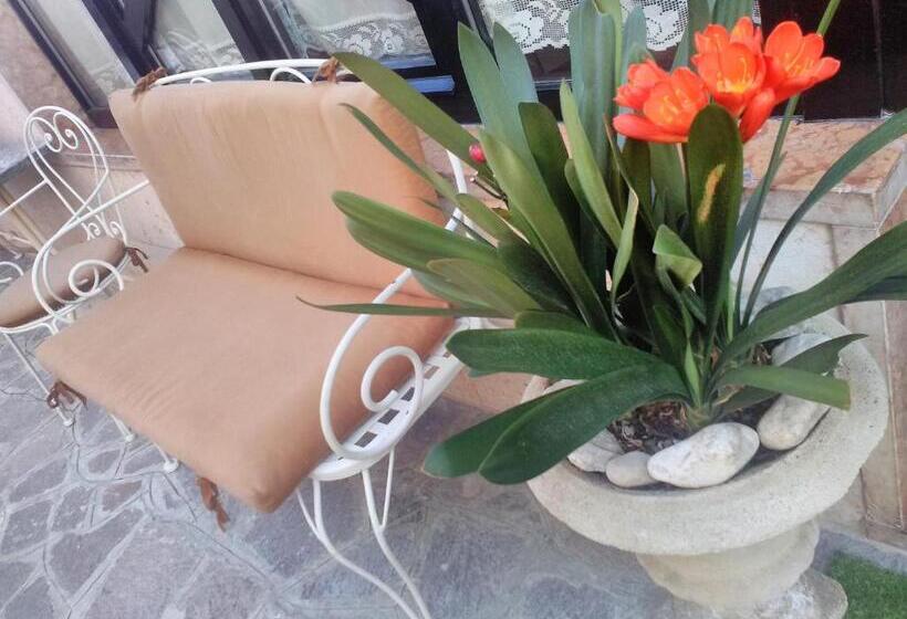 Семейный Номер, Orchidea