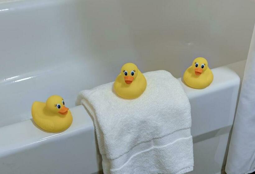 스탠다드 룸, Garrison Hotel & Suites Dover Portsmouth, Ascend Hotel Collection