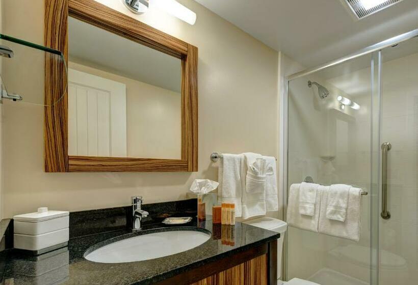 Стандартный Номер Кровать Кинг, Garrison Hotel & Suites Dover Portsmouth, Ascend Hotel Collection