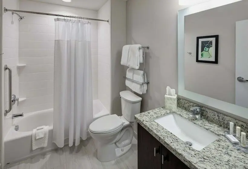 Sviitti, Towneplace Suites By Marriott Orlando At Seaworld