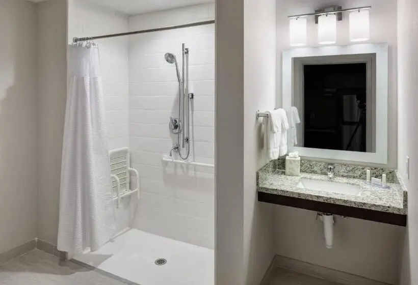Deluxe-sviitti, Towneplace Suites By Marriott Orlando At Seaworld