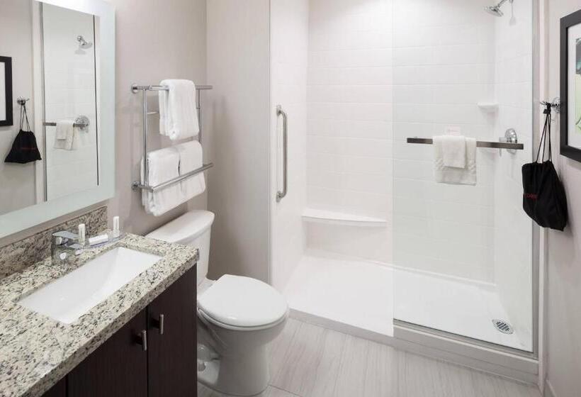 إستوديو قياسى سرير كينج, Towneplace Suites By Marriott Orlando At Seaworld