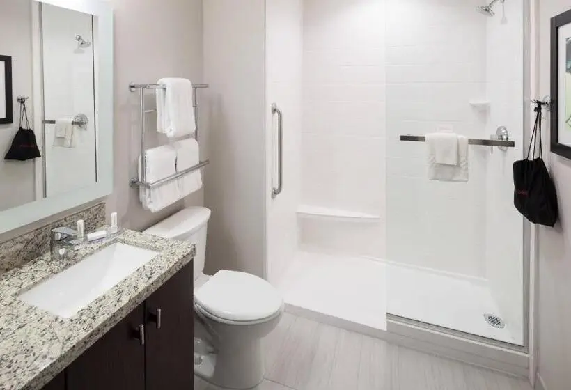 Standard-studio King-vuode, Towneplace Suites By Marriott Orlando At Seaworld