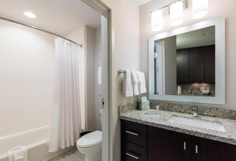 Люкс, Towneplace Suites By Marriott Orlando At Seaworld