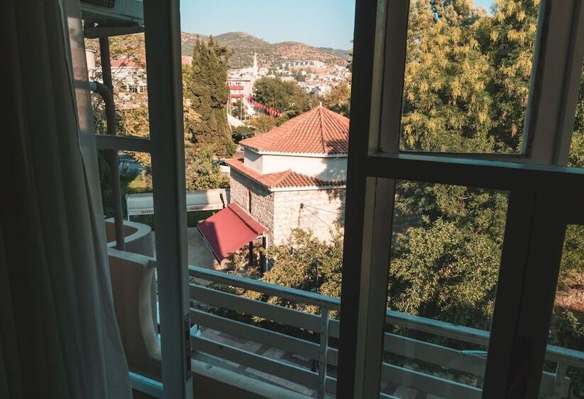 Номер Стандарт Двуспальная Кровать, Nicea