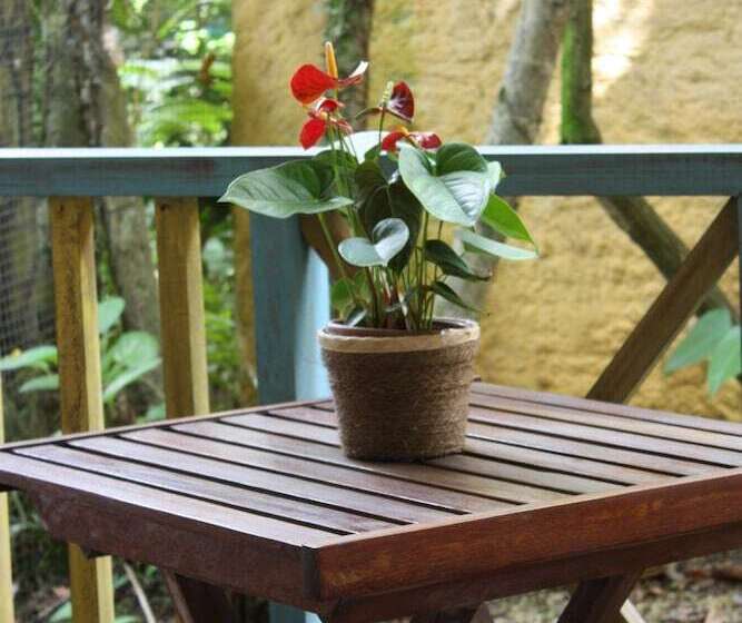 Номер Стандарт, Ilha Deck