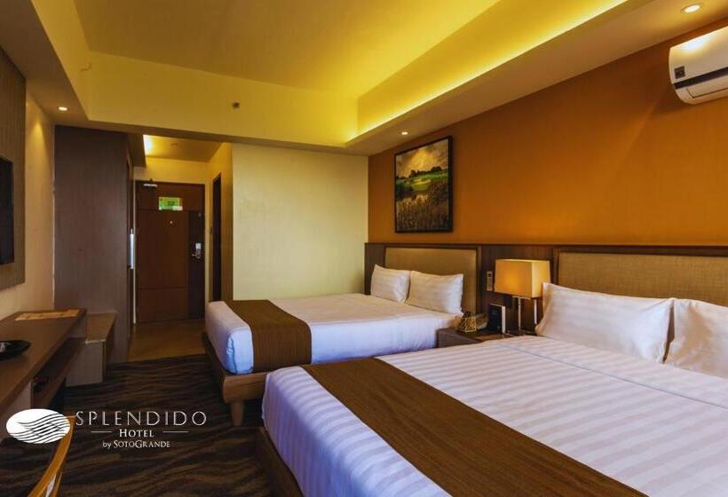 Deluxe Room Mountain View, Splendido