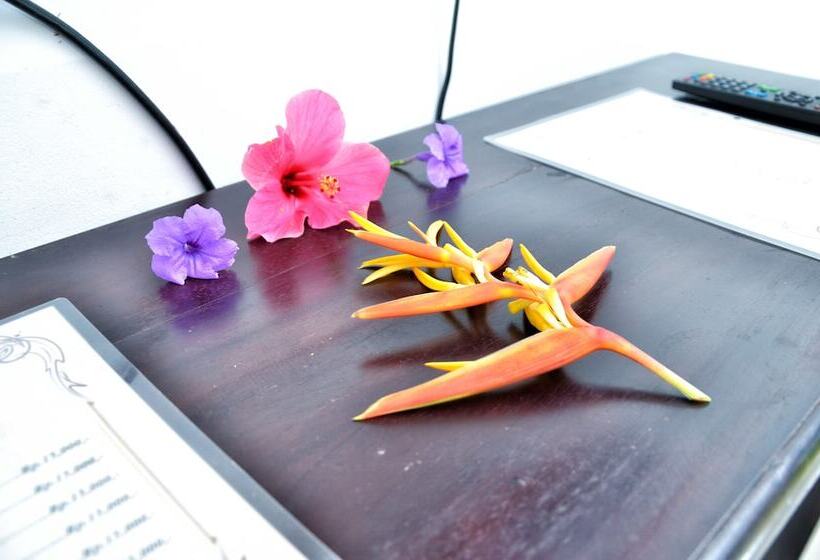 豪华房间, Palm Garden Bali