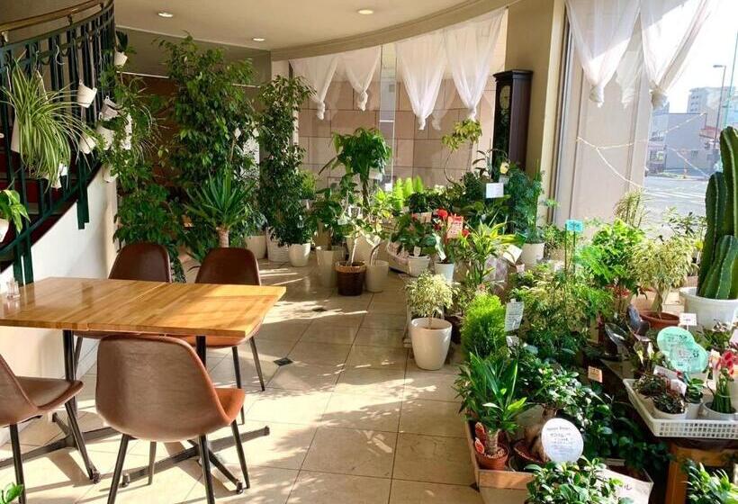 إستوديو قياسى, Royal Kitami