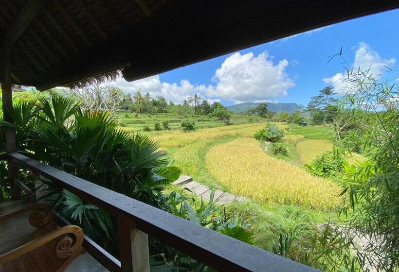 Бунгало Стандарт, Sawah Indah Villa