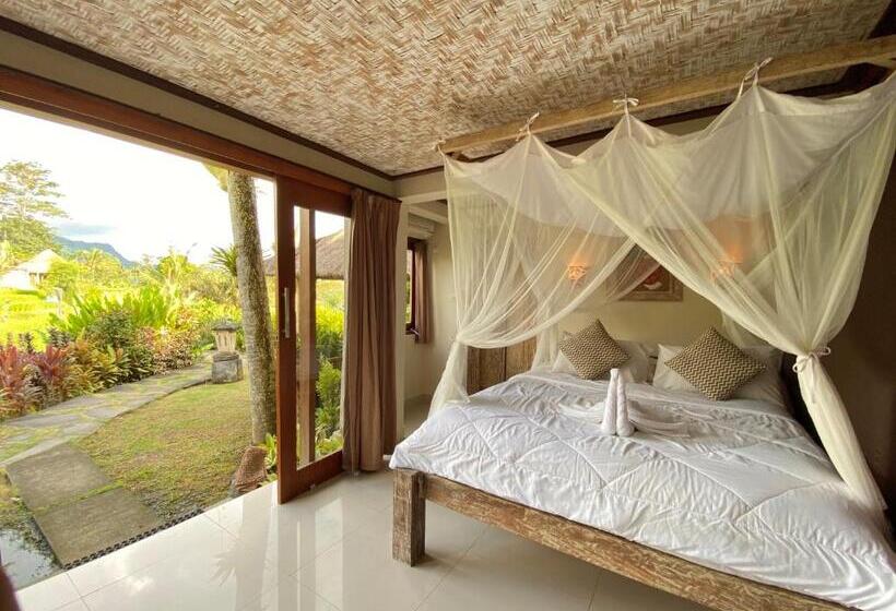 חדר אקונומי, Sawah Indah Villa