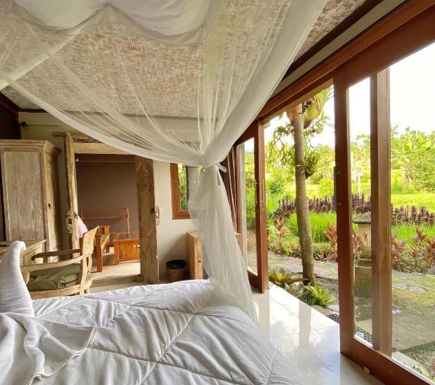 חדר אקונומי, Sawah Indah Villa