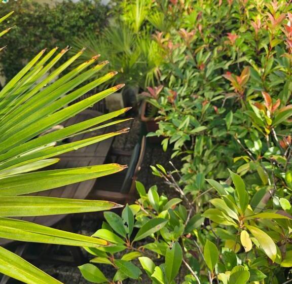 آپارتمان اجرایی 1 خوابه, Victoria Royal Garden