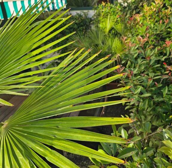 آپارتمان اجرایی 1 خوابه, Victoria Royal Garden