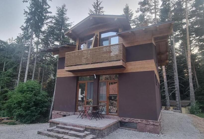 استودیو استاندارد با چشم‌انداز, Restaurant 6ato Rila