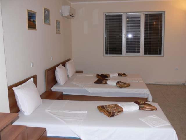 スタンダードトリプルルーム, Versai