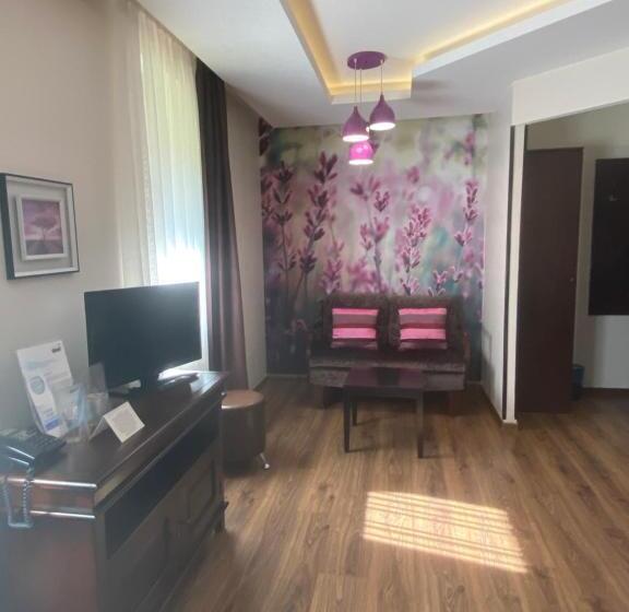 غرفة ديلوكس مزودة بشرفة, Park Hotel Fairy