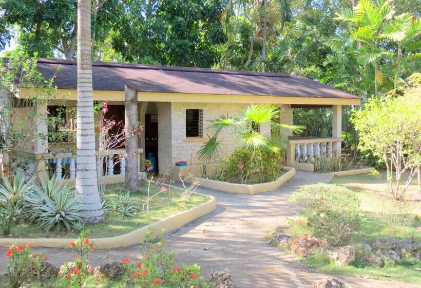 패밀리 룸, Alonaland Resort