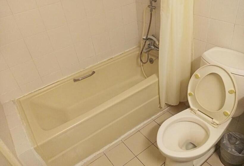 اتاق استاندارد سه نفره, Chungli Business