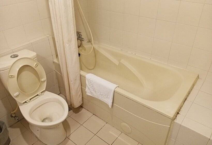 اتاق استاندارد سه نفره, Chungli Business