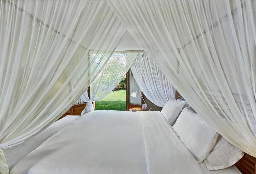 스위트, Villa Veneziano Suites & Villa