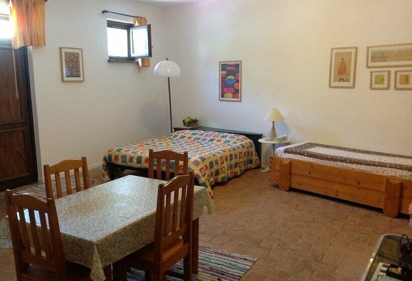 Студия Стандарт, B&b Duomo