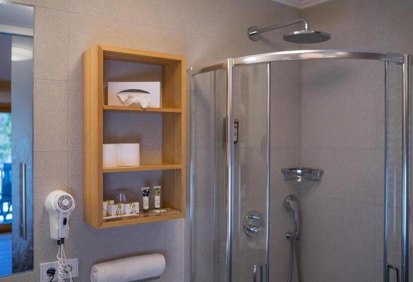 带观景的标准间, Dolmites Nature Hotel Vigilerhof