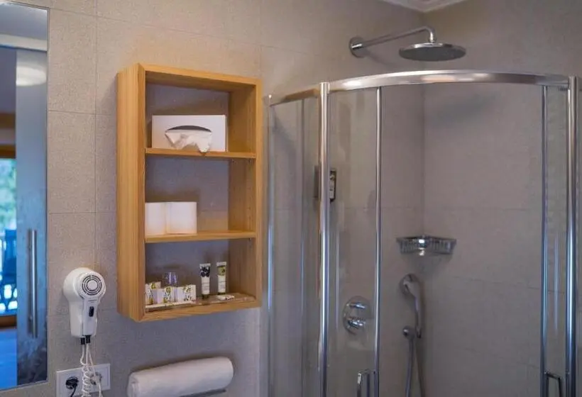シングルデラックスルーム, Dolmites Nature Hotel Vigilerhof