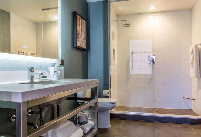 Номер Стандарт Адаптированный для Инвалидов, Cambria Hotel Chicago Loop   Theatre District