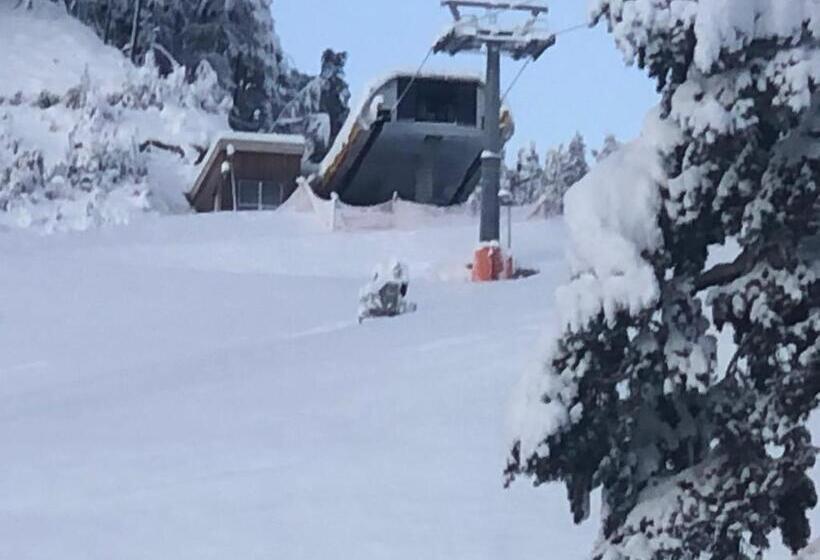 סוויטת ג'וניור עם מרפסת, Piccolo Hotel Claudia No Pets