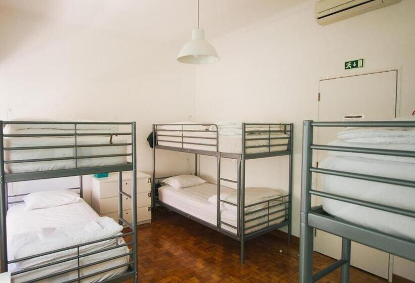 공동 객실, Ptm Downtown Hostel&suites