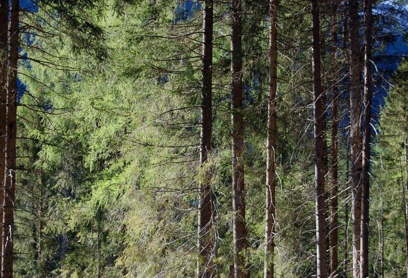 شاليه غرفة نوم واحدة, Chalet Nel Doch Villa Cheia