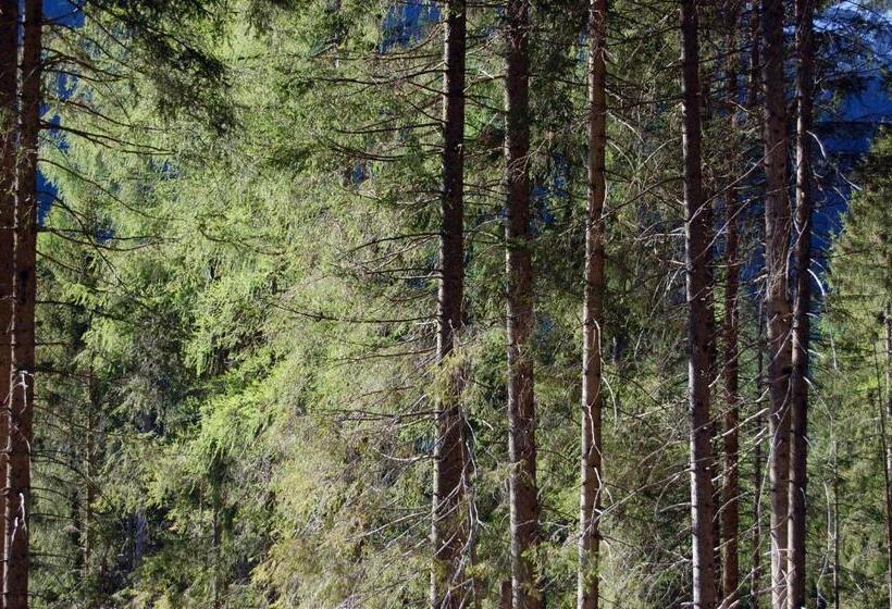 جناح مزوَّد بشرفة, Chalet Nel Doch Villa Cheia