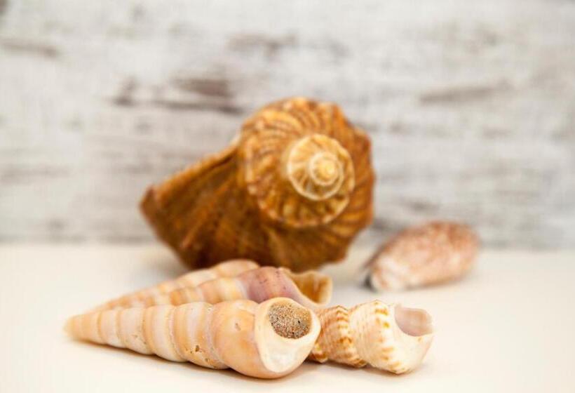 스탠다드 룸, Orizzonte