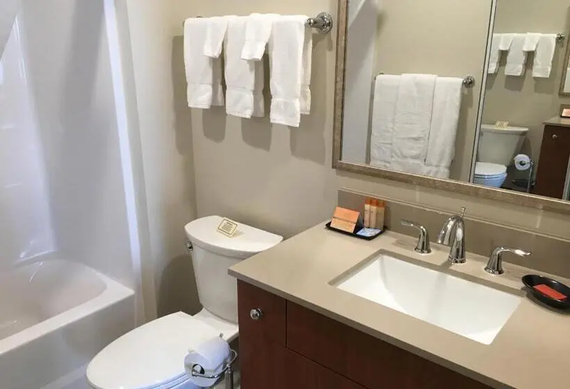 سوییت لوکس, Aspen Suites Hotel Sitka
