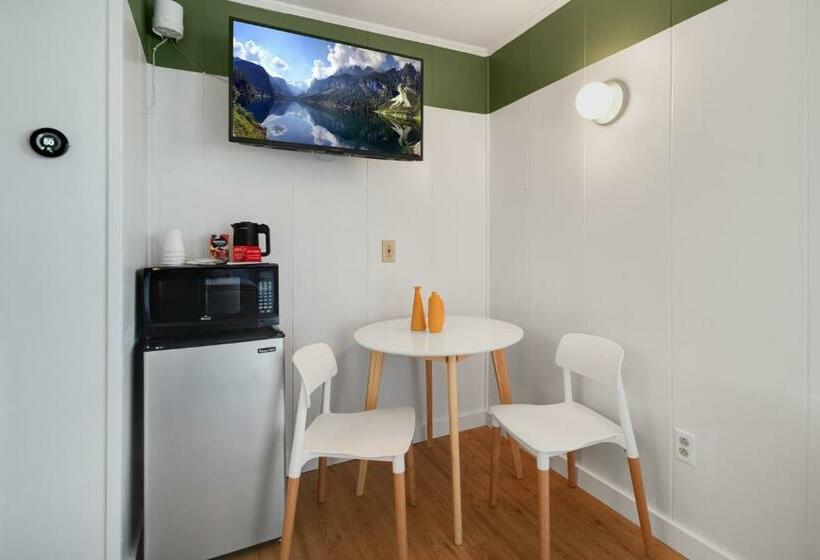 Номер Стандарт 2 Двуспальные Кровати, Birches Motel