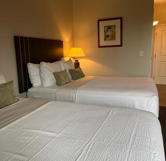 디럭스 룸, Brinton Suites