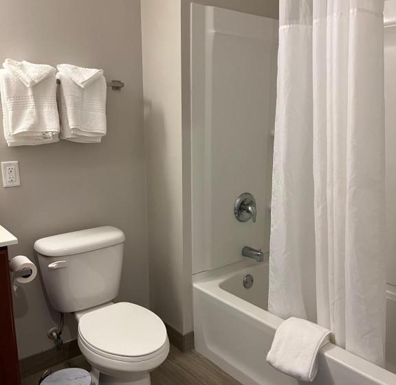 Стандартный Номер Кровать Кинг, Brinton Suites