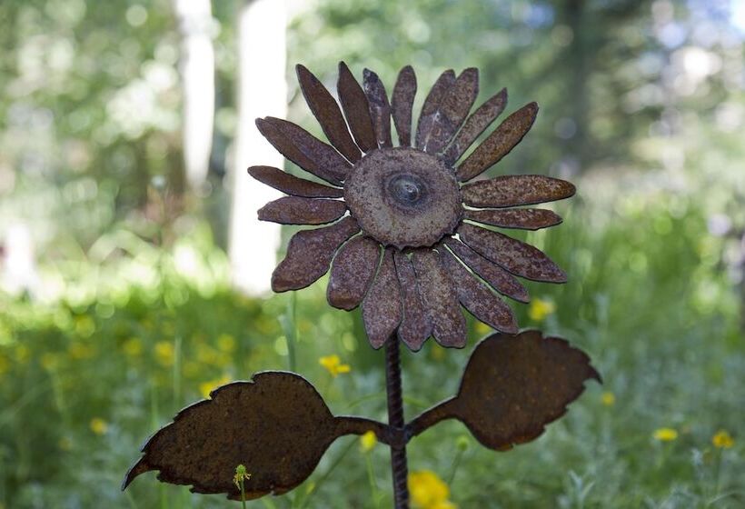 デラックススタジオ, Mariposa Lodge Bed And Breakfast