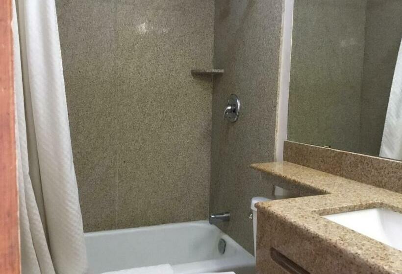 带大床的标准间, Budget Inn Plainview