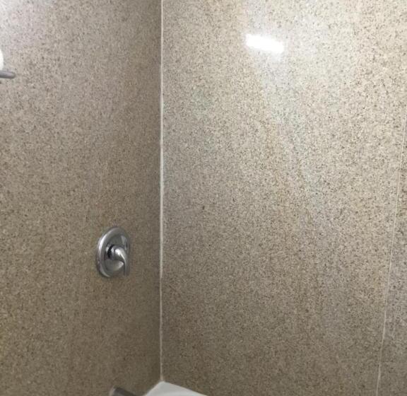 带2个双人床的标准工作室, Budget Inn Plainview